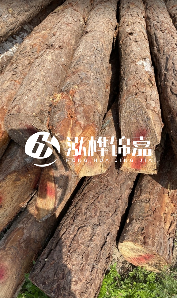 <strong>松木樁和杉木樁的用途區(qū)別？哪個(gè)更適合打樁用？</strong>