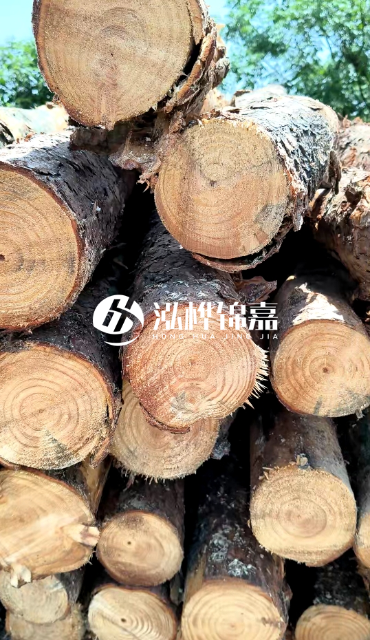 周口挖機(jī)打木樁專業(yè)施工-杉木樁施工打樁怎么打？