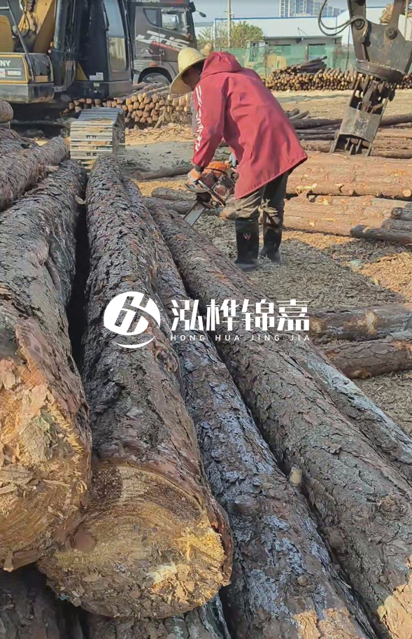長(zhǎng)沙打樁木批發(fā)廠家在哪里？聯(lián)系方式是什么？