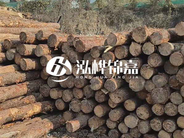 落葉松木材的主要產(chǎn)地在哪里？為什么比其他松木更耐腐蝕？