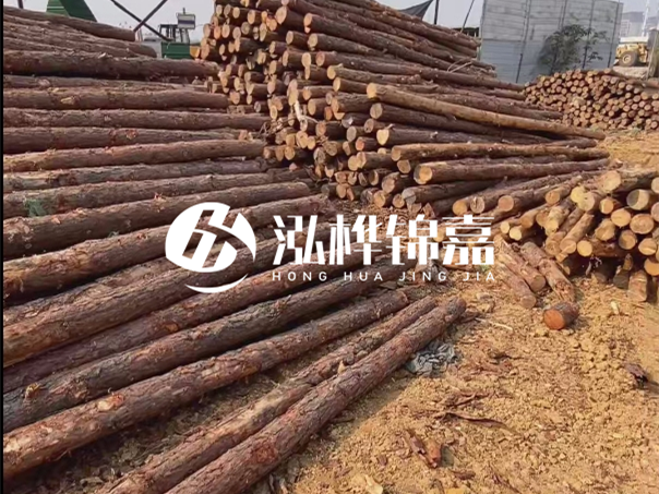 河道木樁施工遇到淤泥怎么辦？打多深才能防沖刷？