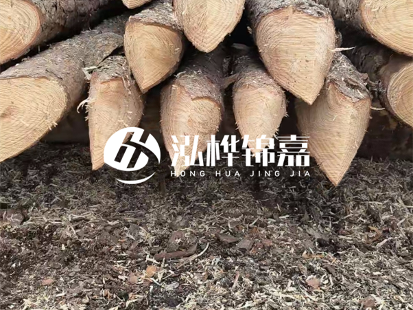 打樁木樁與鋼樁相比有哪些優(yōu)缺點？如何進行后期維護？