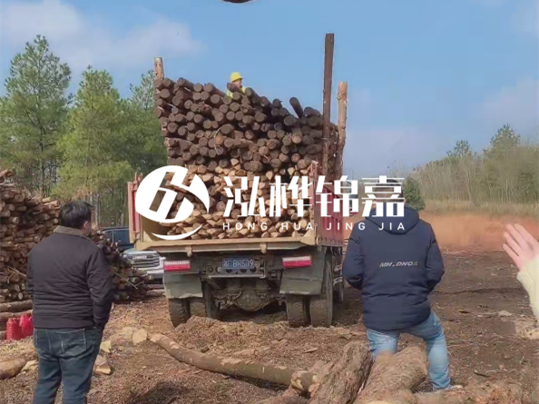 松木樁價(jià)格是按米算還是按根算？6米松木樁批發(fā)價(jià)每根多少錢？