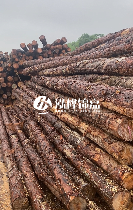 購(gòu)買松木樁注意事項(xiàng)有哪些-不同直徑松木樁區(qū)別有哪些？