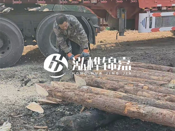 松木圓木價格大概多少一方-松木樁廠家按方可以賣嗎？