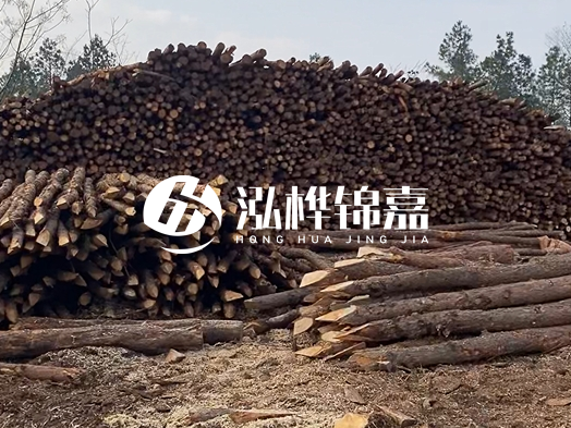 地基打木樁用什么木材 - 地基打木樁的能撐幾年？