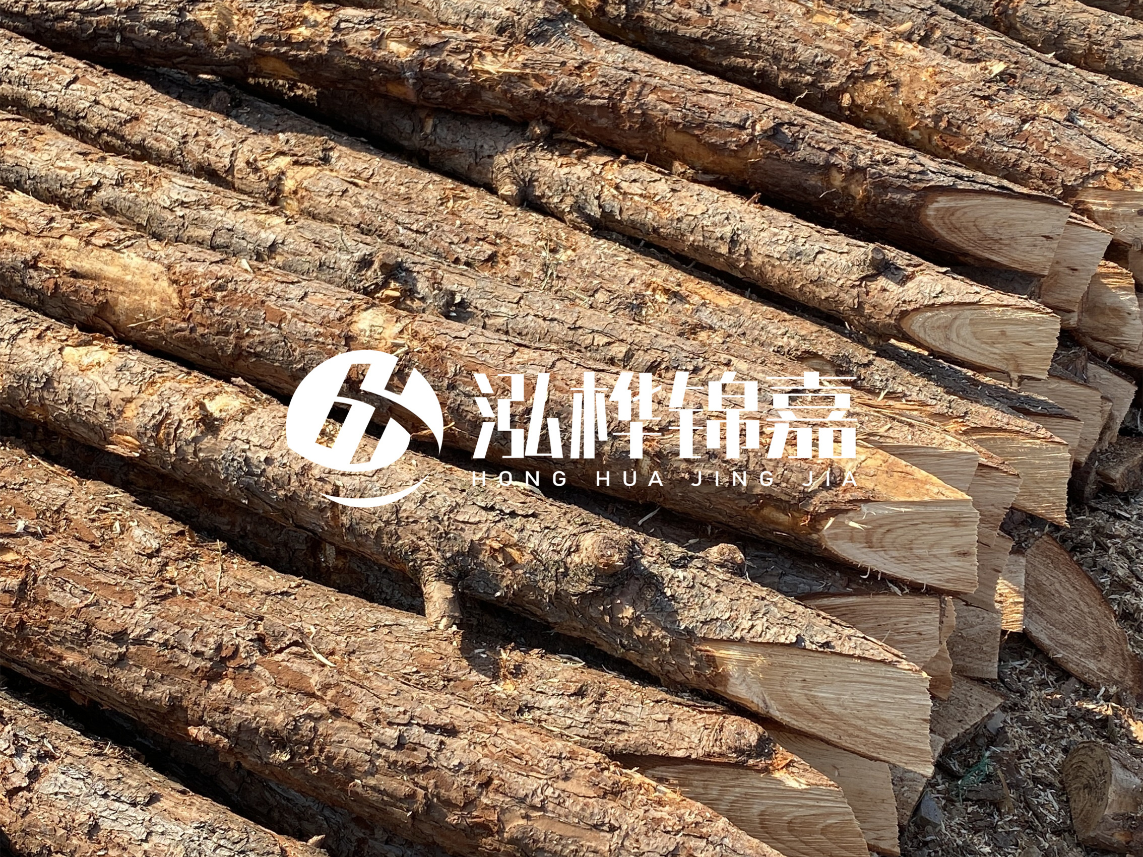8 米超大直徑松木樁的價格是多少？帶皮和去皮松木樁價格差多少？