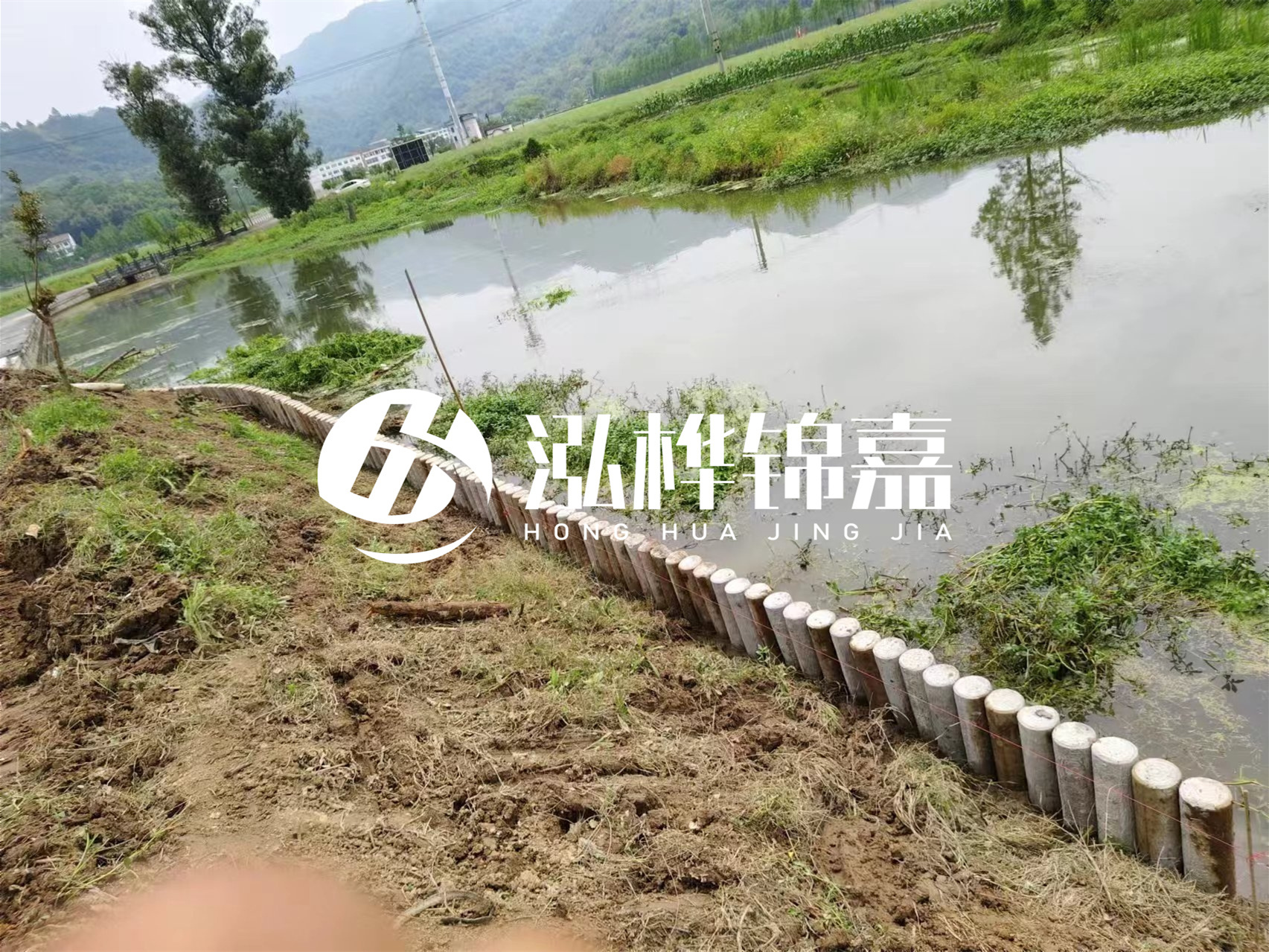 松木樁加固河道與水泥樁對比如何？哪一種更加適合您？