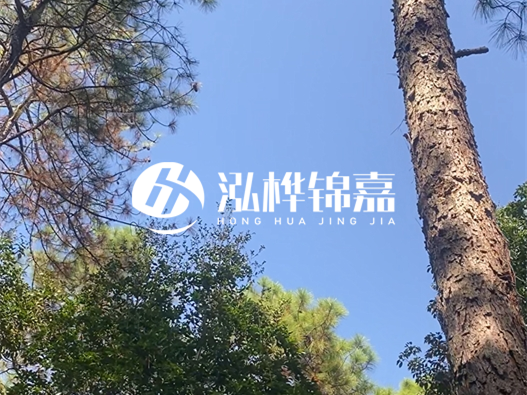 松木樁廠家的供貨能力強不強-怎么才能聯(lián)系到松木樁廠家？
