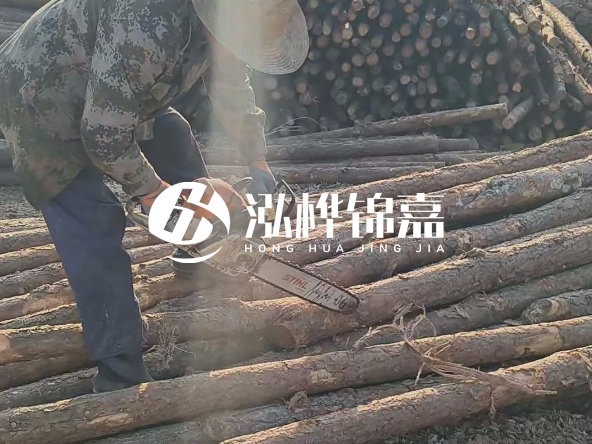 廣東打樁木源頭廠家泓樺錦嘉 - 如何選擇適合特定邊坡的松木樁？