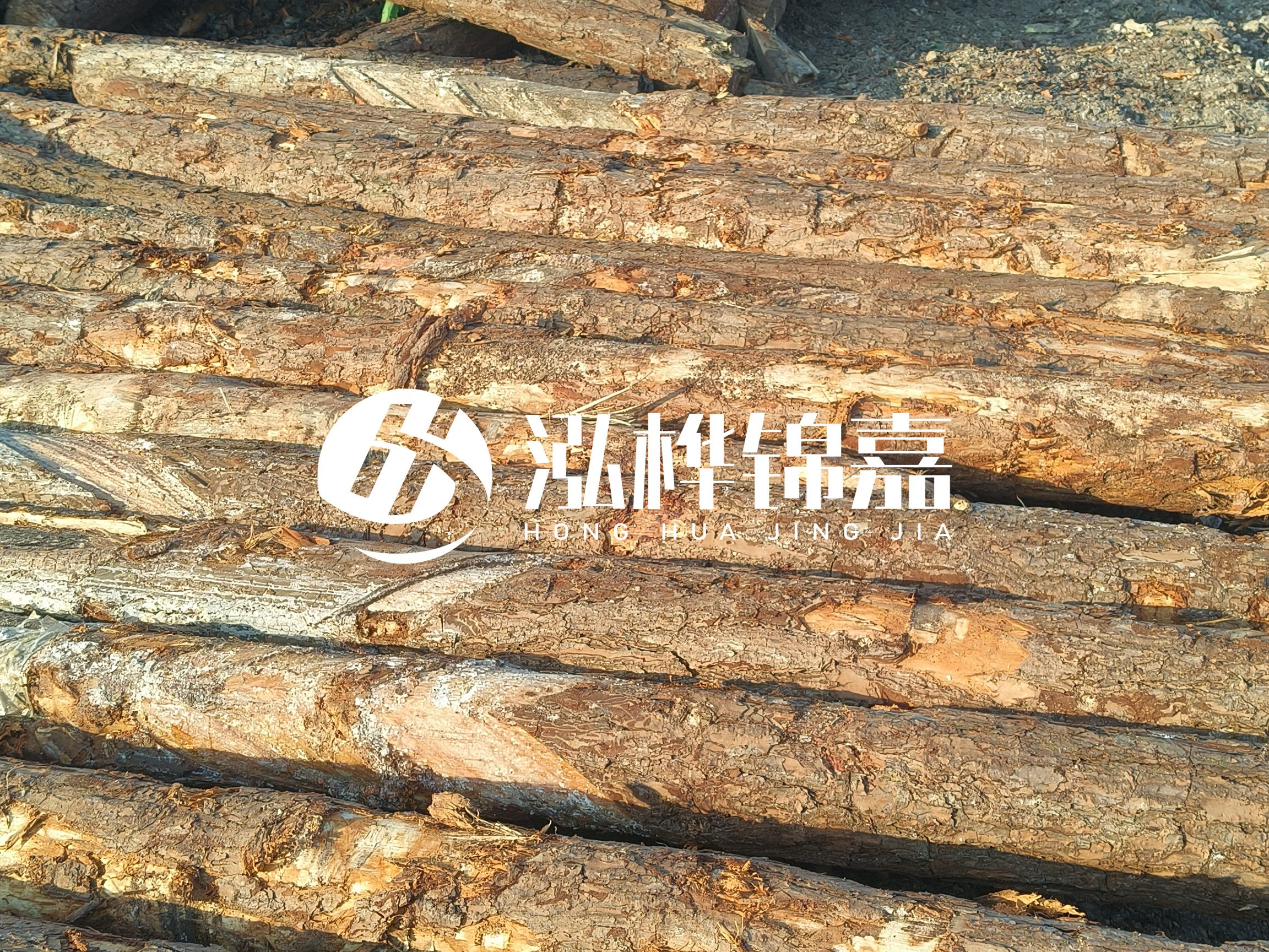 河道木樁的含水率過(guò)高會(huì)有什么問(wèn)題？怎么檢查松木樁含水率？
