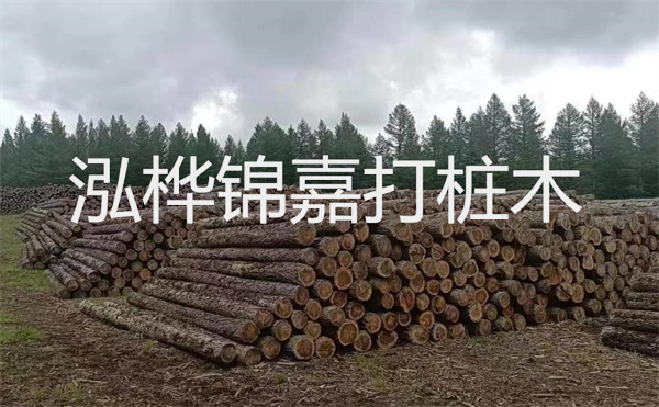 選擇紅磚護(hù)坡，打造獨特的美麗景觀
