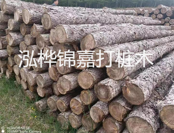 高效修補，保駕護(hù)航！水泥路面高強度修補料為您解決煩惱！