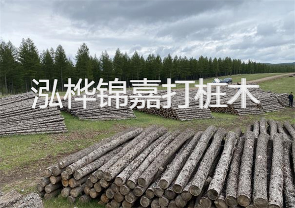 鋼結(jié)構(gòu)施工方案大全免費提供，助力工程建設(shè)