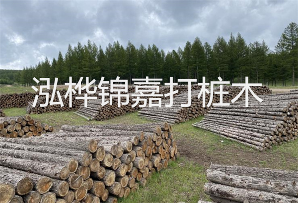 預(yù)制松木樁施工工藝：優(yōu)質(zhì)材料，高效快速，堅(jiān)固耐用