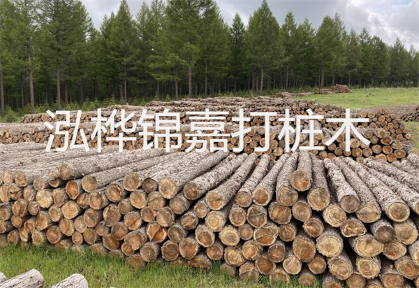 松木樁能施工嗎？探究視頻揭秘真相！