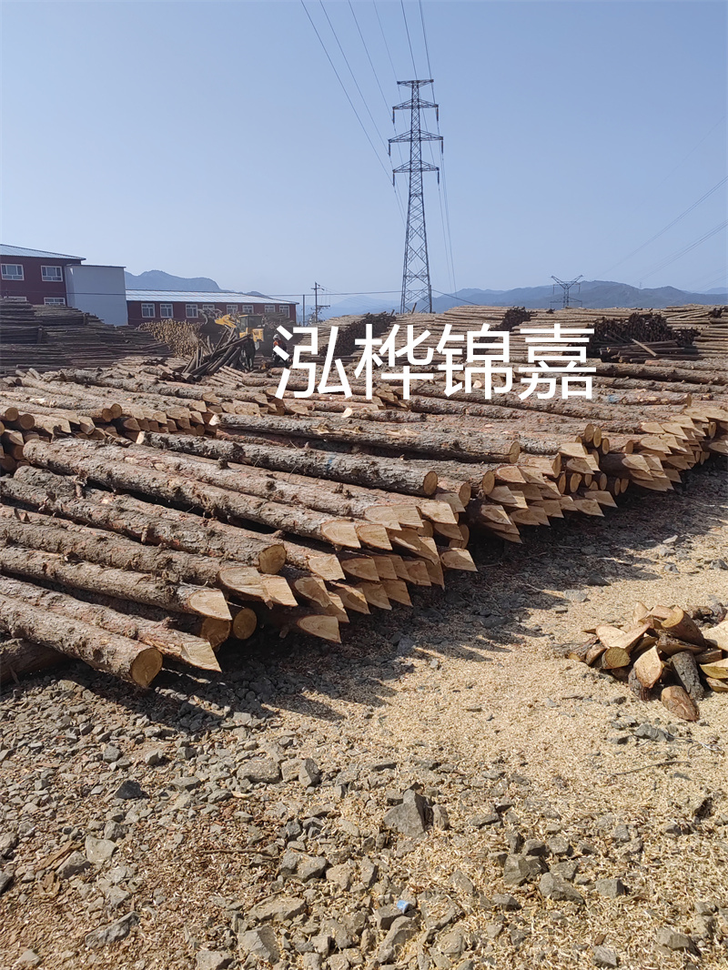 深入了解松木樁基礎(chǔ)施工單價(jià)，助力工程建設(shè)順利進(jìn)行！