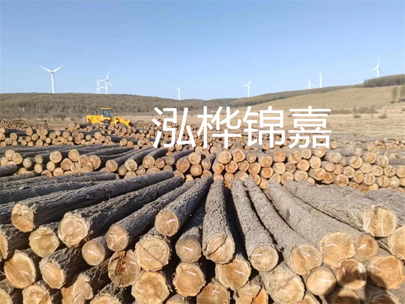 溫州松木樁施工廠家——為您打造堅(jiān)固穩(wěn)定的建筑基礎(chǔ)！