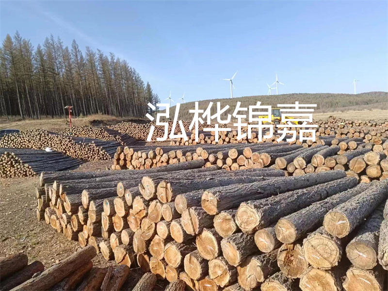 用路基松木樁施工方案提升工程質(zhì)量描述：了解路基松木樁施工方案的重要性，提高工程質(zhì)量關(guān)鍵詞：路基松木樁，施工方案，工程質(zhì)量