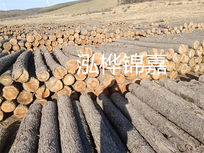 選擇合適的路緣石尺寸，打造美麗道路