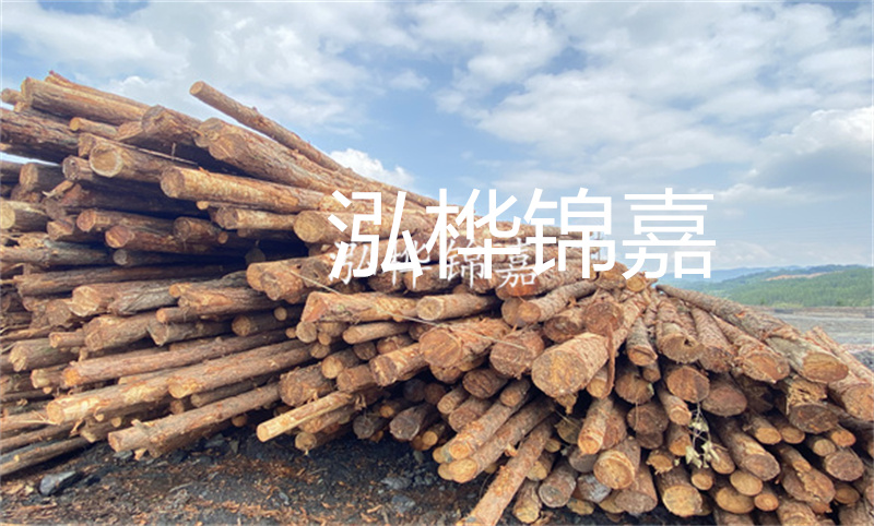 濮陽松木樁，卓越品質(zhì)，安全可靠