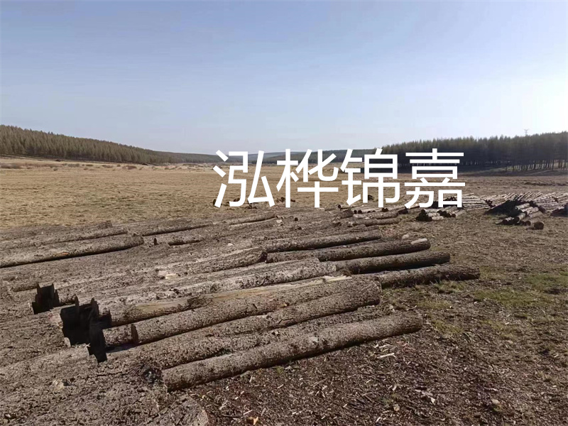 鄂州松木樁哪里好？推薦泓樺錦嘉松木樁業(yè)！
